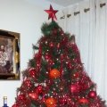 Weihnachtsbaum in den Mozart-Stuben