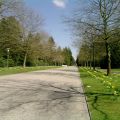 Einer meiner Weg führt durch den Friedhof Ohlsdorf
